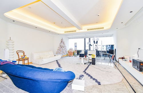 云山詩(shī)意人家歷史房?jī)r(jià)走勢(shì)與信息技術(shù)咨詢服務(wù)分析